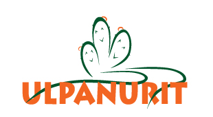 Ulpanurit logo